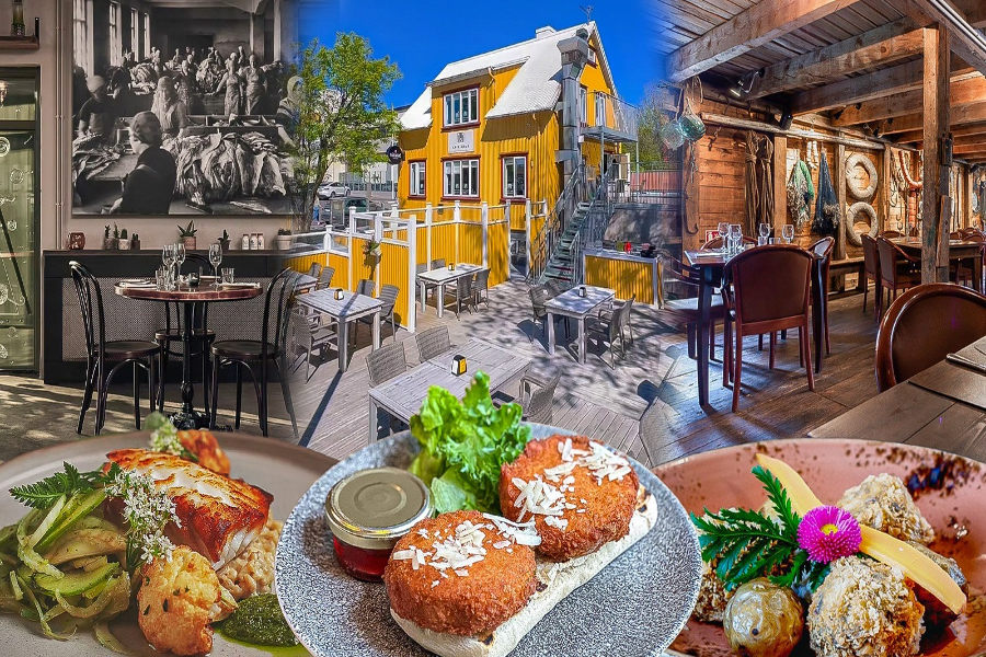 Best Day Trips From Reykjavik