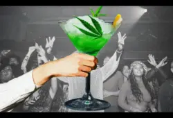 Cannabis Cocktails